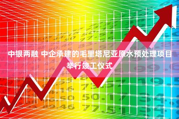 中银两融 中企承建的毛里塔尼亚原水预处理项目举行竣工仪式
